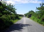 2011-07-17-10-14-24_0024.jpg