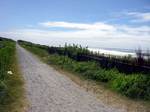2011-07-17-10-33-36_0041.jpg
