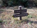 2011-12-28-12-52-40_0041.jpg