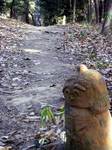 2011-12-28-14-18-06_0045.jpg