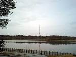 CA340030.jpg