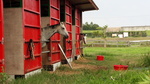DSC_0724.jpg