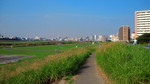 NEC_0032.jpg